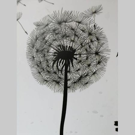 Ferienwohnung Pusteblume Mueddersheim Vettweiss Экстерьер фото