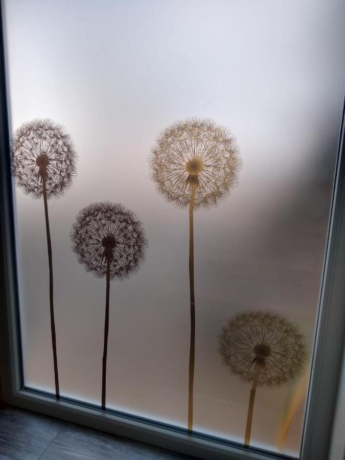 Ferienwohnung Pusteblume Mueddersheim Vettweiss Экстерьер фото